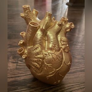 Beautiful Gold Unique Heart Organ Vase